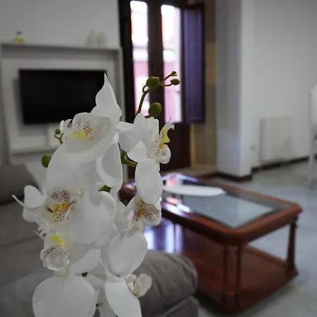 Apartman Duplex Llume - Grupo Sanin *