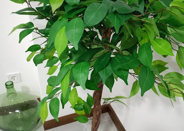 Apartamento Duplex Llume - Grupo Sanin Lumbrales